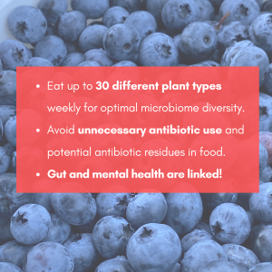 tips for enhancing gut health