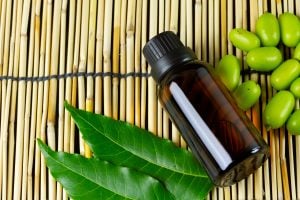 bottle of neem oil and neem buds on bamboo mat