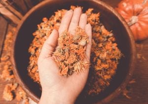 hand holding dried calendula flowers over bowl